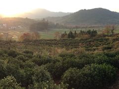 -塔川景区