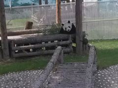 -太原动物园