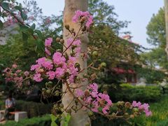 -大明幻境第一城