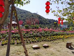 -东莞观音山旅游风景区
