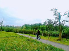 -白鹭湾湿地公园