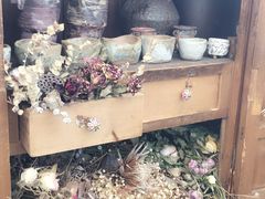 -北马山庄植趣咖啡