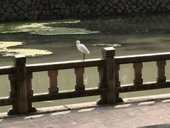 -浙江科技大学(小和山校区)