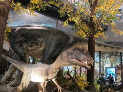 -湖南省地质博物馆