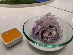 -丁老爷子苏香圆