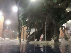 -中铁花水湾温泉酒店(大邑店)