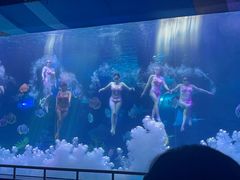 -泉城欧乐堡海洋极地世界
