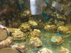 -良师门滨海人家·海鲜·家常菜(滨海城店)