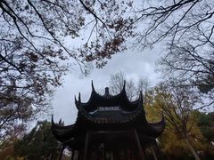-拙政园