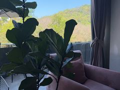 -简象咖啡CAFE ELE JANE(满陇桂雨店)