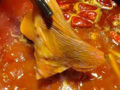 -水巷子·巴掌腰片重庆火锅(巧家店)