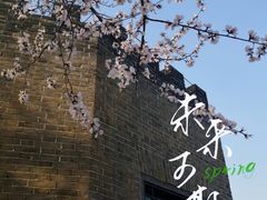 -桃花堤公园