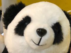 -TOYSRUS玩具反斗城(苏州中心店)