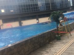 -地中海传奇水汇