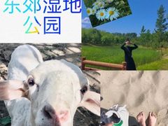 -东郊湿地公园