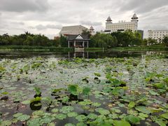 -映月湖公园