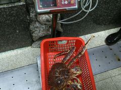 -蚝专家(北滘店)