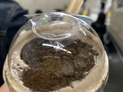 -喜茶(上海打浦桥日月光gelato lab+店)