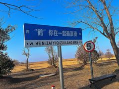 -盐城丹顶鹤湿地生态旅游区