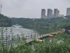 -重庆彩云湖湿地公园