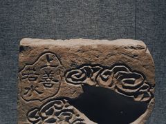 -亳州博物馆