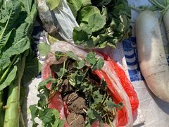 -雪绒花路停车场