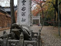 -灵谷景区
