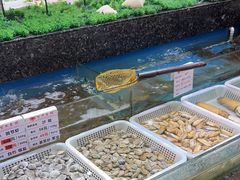 -宝燕壹号(徐汇店)