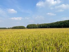 -嘉北郊野公园