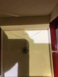 -RUANS阮仕珍珠(北京蓝色港湾店)