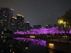-西北湖绿化广场