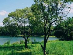 -福建鲤鱼洲酒店