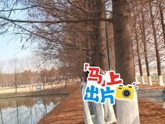-嘉北郊野公园