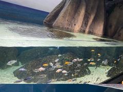 -江和美海洋公园