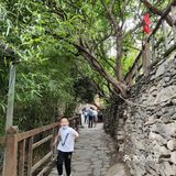 桃坪羌寨怎么避雷