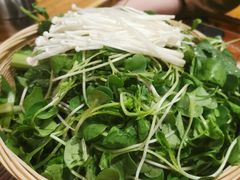 -苗家大院酸汤鱼(贵阳北站店)