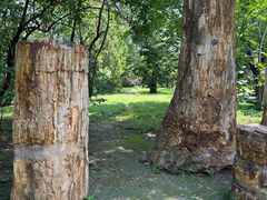 -国家植物园南园