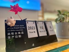 -WHEN PIGS FLY当猪飞