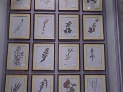 -房山世界地质公园博物馆