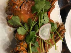 -呼吸森林·生态农庄农家乐私房菜