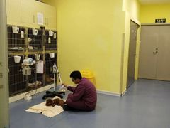 -瑞鹏宠物医院·爱宠堂·骨外专科(西荷分院)