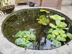 -往来·竹里.宝宝宴.生日宴.团建.宴席(花乡农居店)