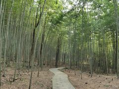 -广州市石门国家森林公园