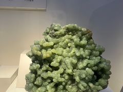 -重庆自然博物馆(新馆)