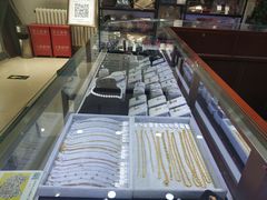 -阜昌典当行(阜成门店)