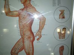 -洪盛堂(净居寺南街店)