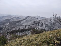 -武陵山森林公园