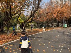 -苏州河梦清园环保主题公园