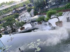 -蘇河湾·新鲁菜·泰山宴(泰山店)