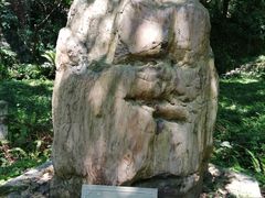 -仓桥直街